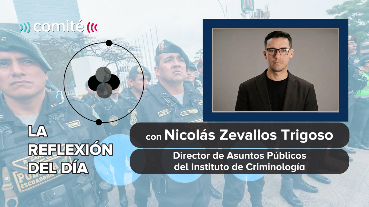 Carencias en la PNP: ¿Cómo pueden afectar la implementación de las políticas de seguridad?