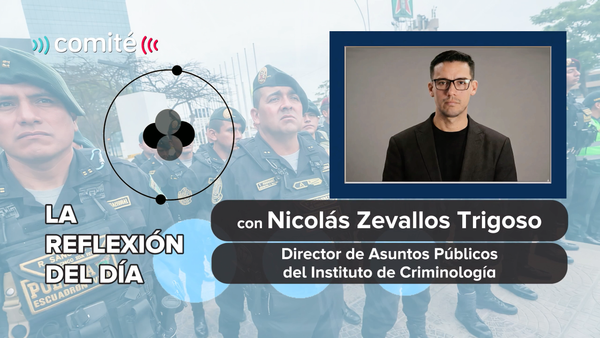 Carencias en la PNP: ¿Cómo pueden afectar la implementación de las políticas de seguridad?